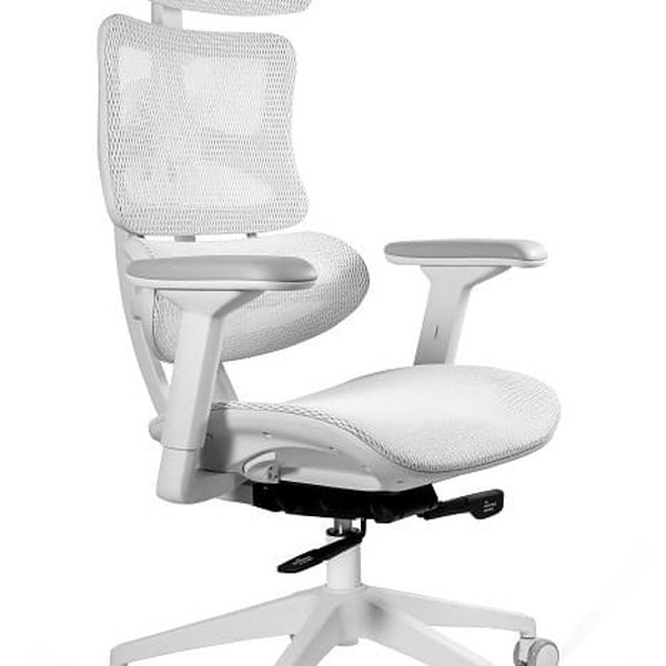 Ergonomic Mesh Office Chair